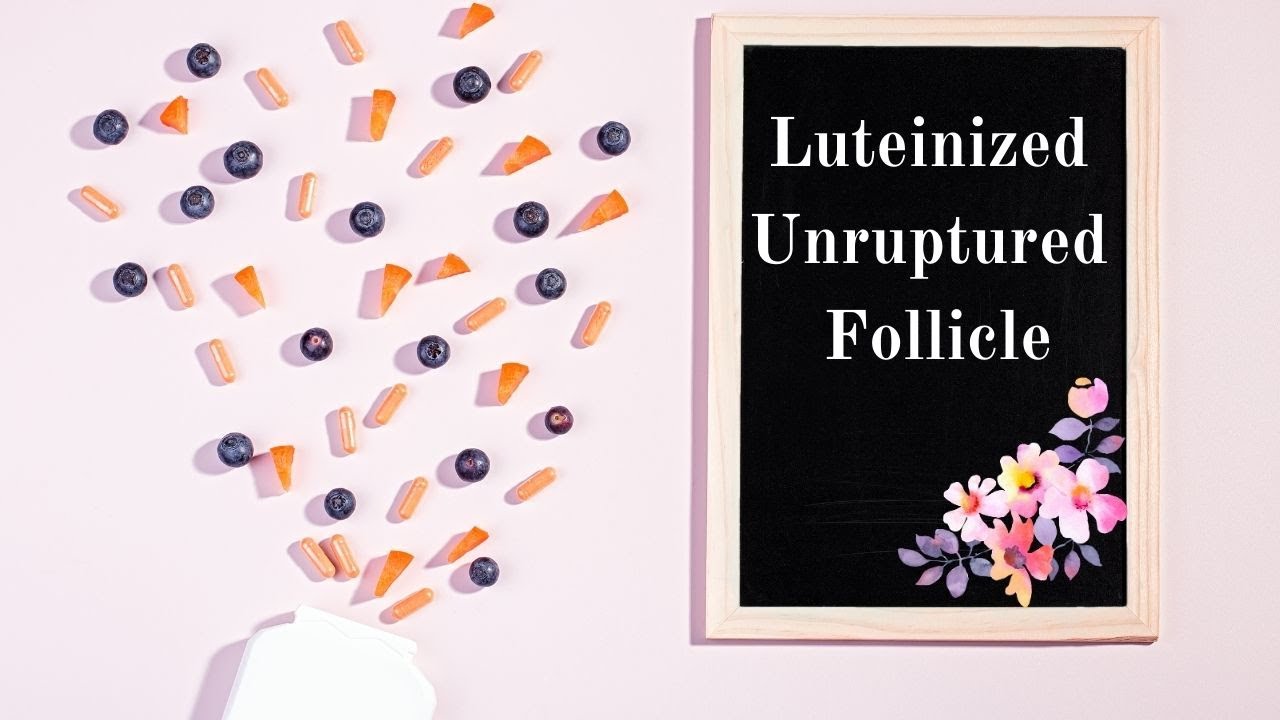 Luteinized Unruptured Follicle