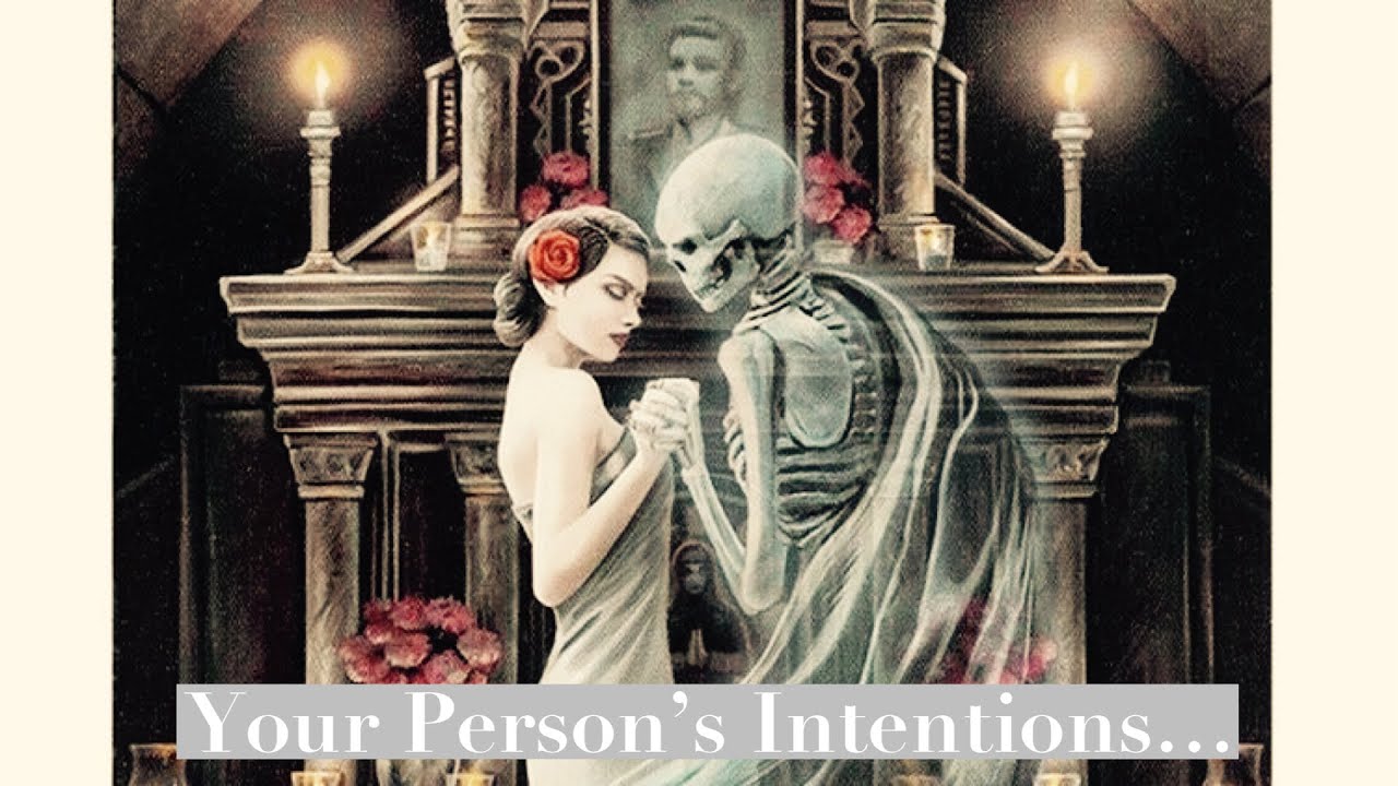 Pick A Card. What Are Your Person’s Intentions Regarding This Connection? Timeless Love Reading. ❤️
