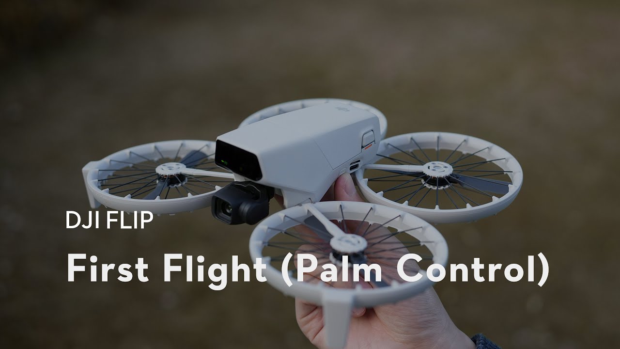 DJI Flip｜First Flight (Palm Control)