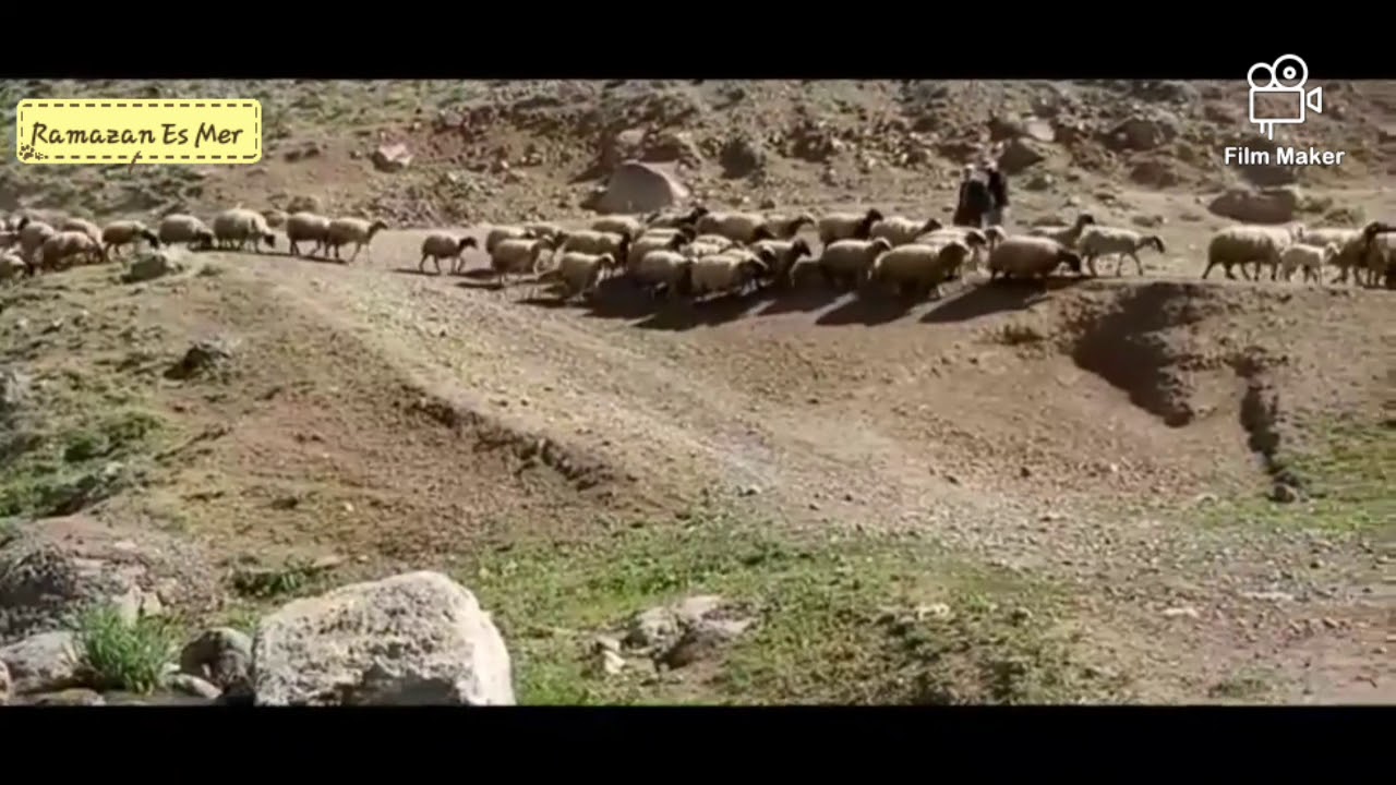 Dengbêj Keremê Okçiya Nîgar