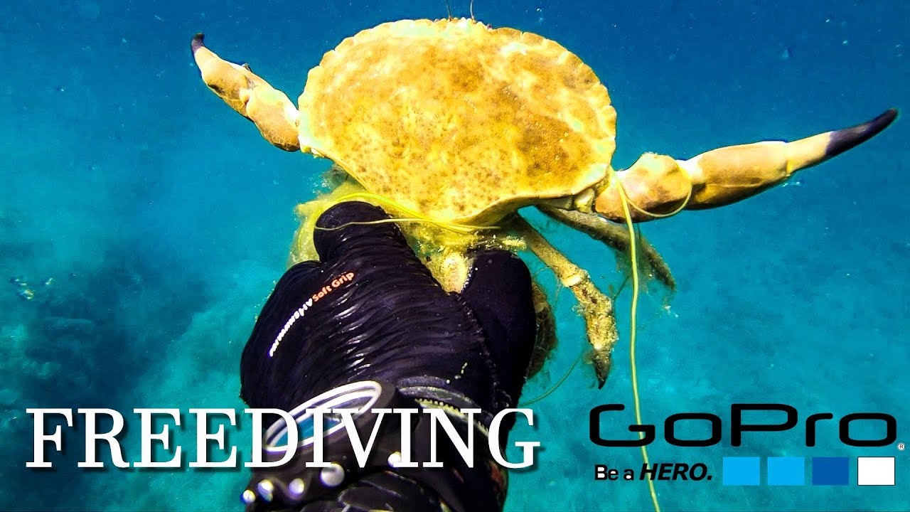 Freediving, B-roll and GoPro Hero 6