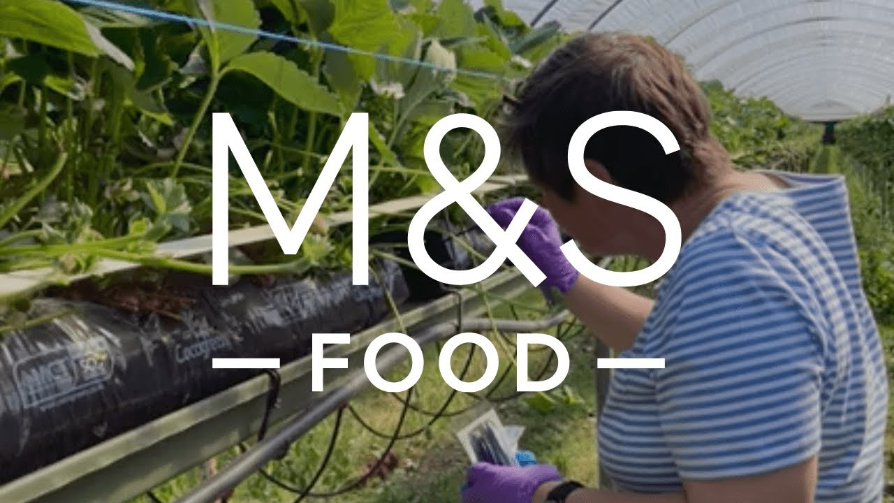 Introduction to Clockhouse Farm part of the M & S Farming with Nature Program