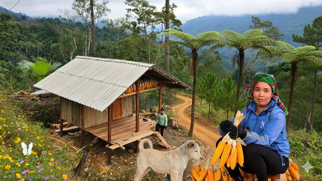 Woman builds farm shed in 90 days | From start to finish | Lý Thương country life