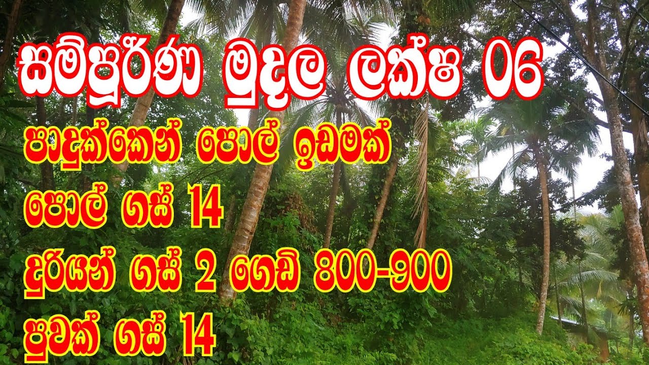 ලක්ෂ 06 පොල් ඉඩමක් | පොල් ගස් 14 ගෙඩි හැදෙන දූරියන් ගස් 02| පුවක් ගස් 12| kalu malli | aduwat idam