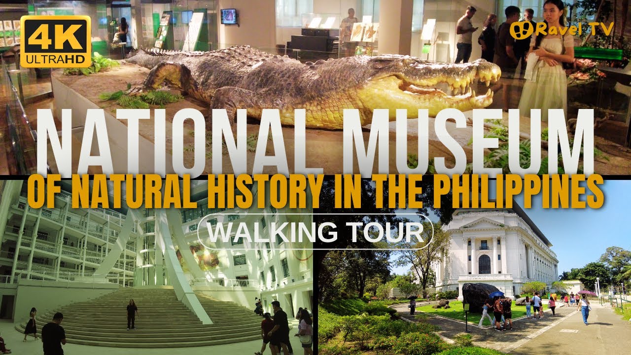National Museum of Natural History | Philippines | Walking Tour | 4K