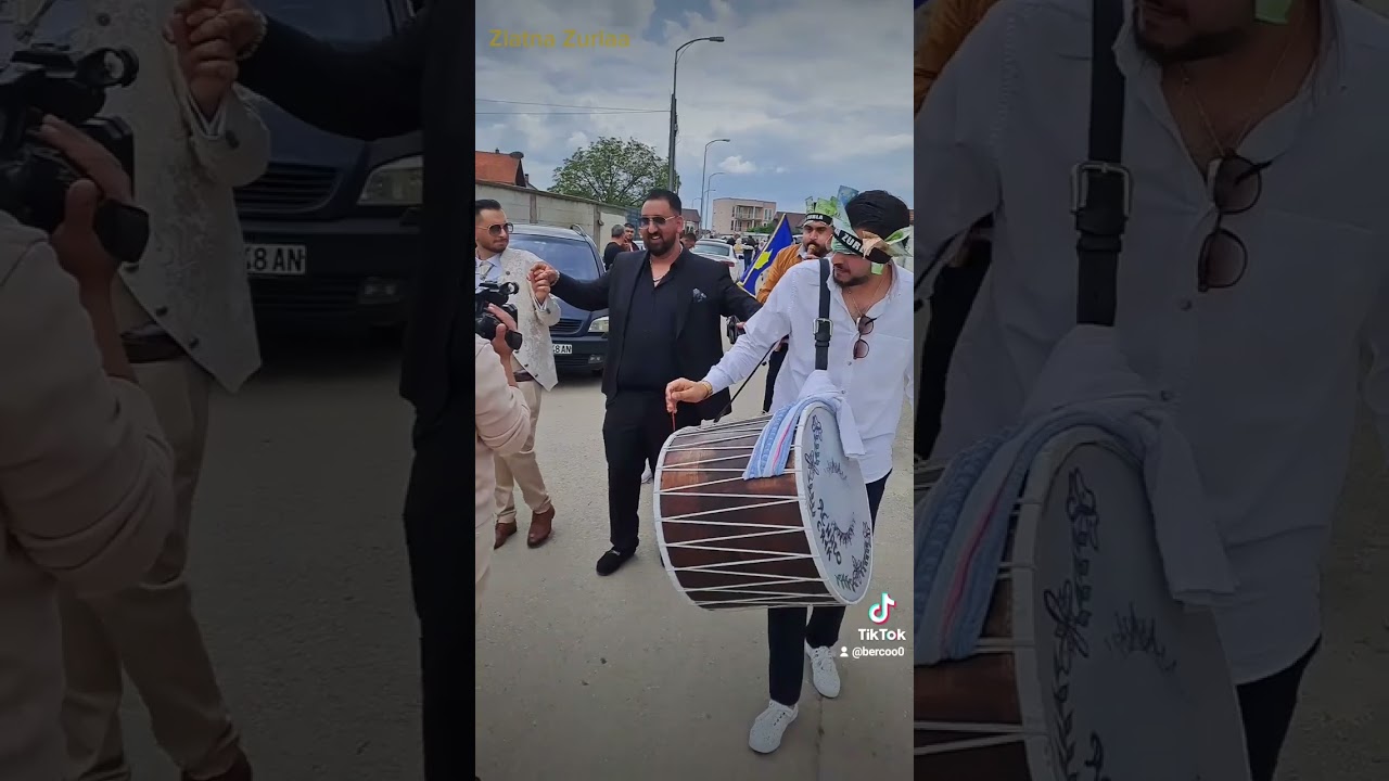 Zlatna Zurla Davujla Kontakt 076901332 Bertin