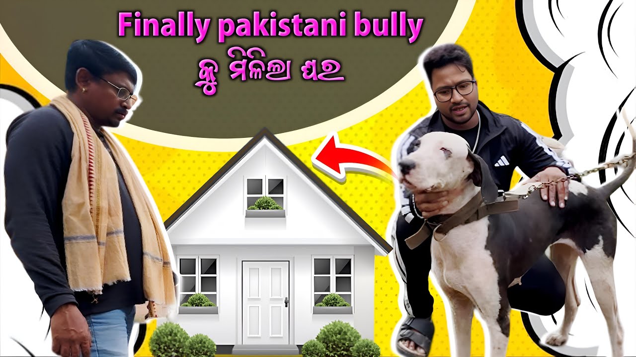 FINALLY ପାକିସ୍ଥାନୀ bully କୁ ମିଳିଲା ଘର || ମରିଗଲେ ସବୁ ଟର୍କି ଓ କୁକୁଡ଼ା 😭😭😭