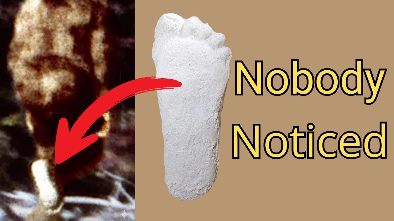 The Foot That Shouldn&rsquo;t Be Possible: Bigfoot Evidence Hidden in Plain Sight