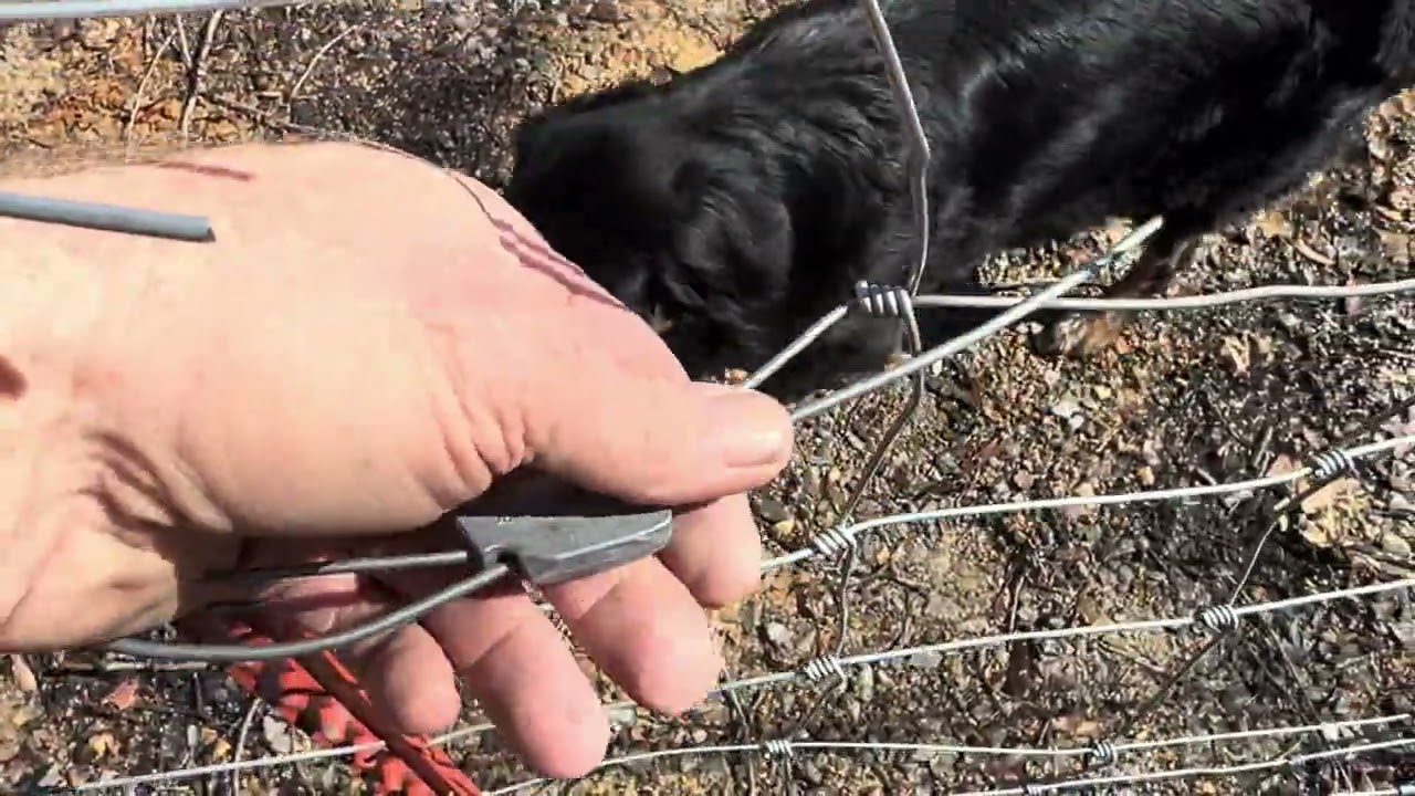 Repairing Damaged Fence Part 1