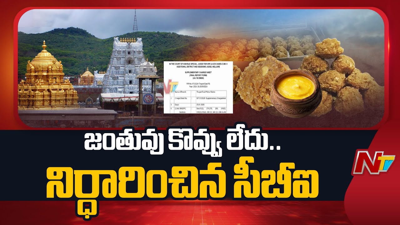 No Animal Fat In Tirumala Laddu- CBI Report | NTV Telugu