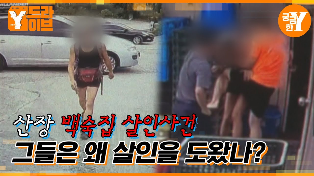 또 다른 공범의 등장, 식당에선 무슨 일이 있었나? | Y드라이브