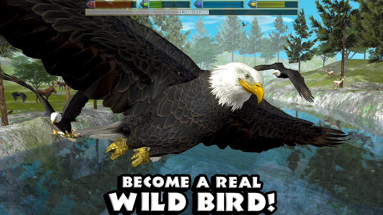 Ultimate Bird Simulator (by Gluten Free Games) Android Gameplay [HD]