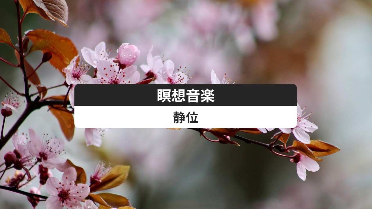 深い瞑想と静寂の和アンビエント｜禅・睡眠・内観のための音空間