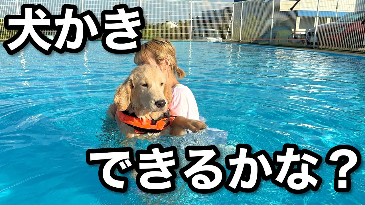 【犬かき習得への道】はじめての犬かきでゴルパピ大パニック！！