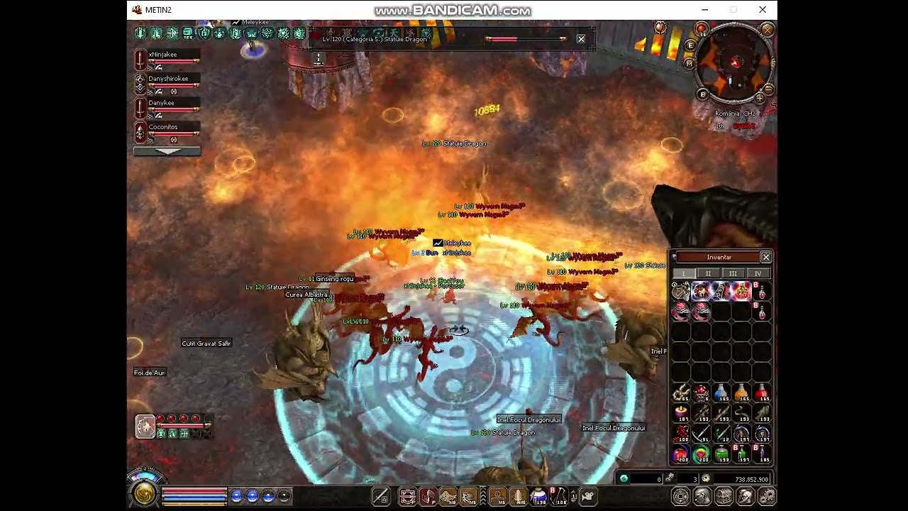 Ninja Solo Meley Metin2Ro