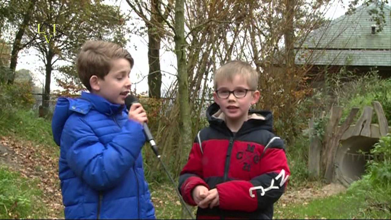 Uit je kunstdag workshop in Schaijk