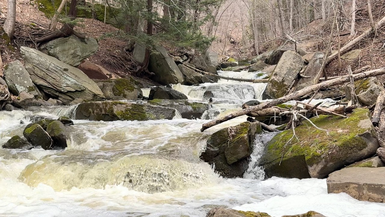 Powerful Creek Sounds for Sleep &bull; Fast Flowing Water Over Rocks (No Talking, No Music)