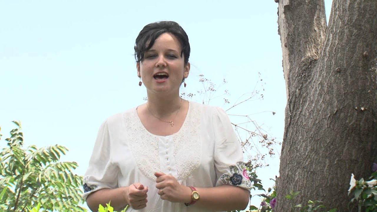 Camelia Popescu - Mai vino seara pe la noi, Ionele draga