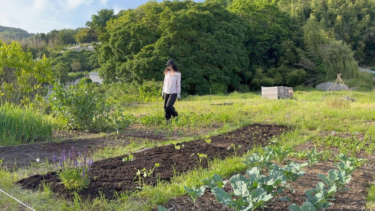 耕さない農業 / 私の楽ちん草管理方法