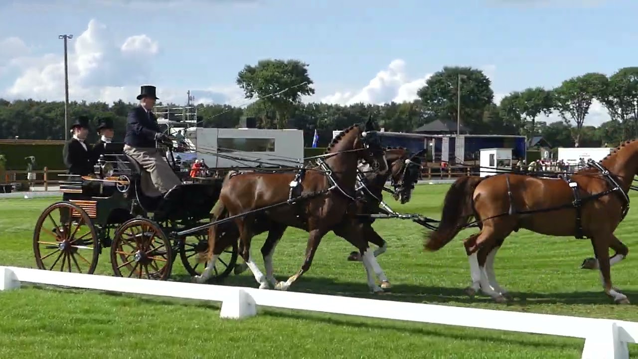 09 SCHNEIDERS, Daniel, AUT, Part of dressage, CH EU A4, Lähden GER, 05 09 2025