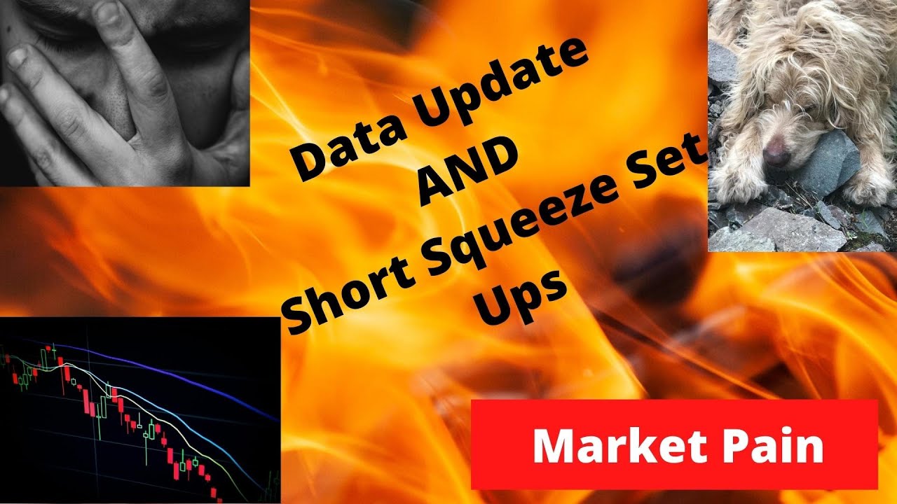 Short Squeeze Set Ups for 10-1 and Ortex Data Updates