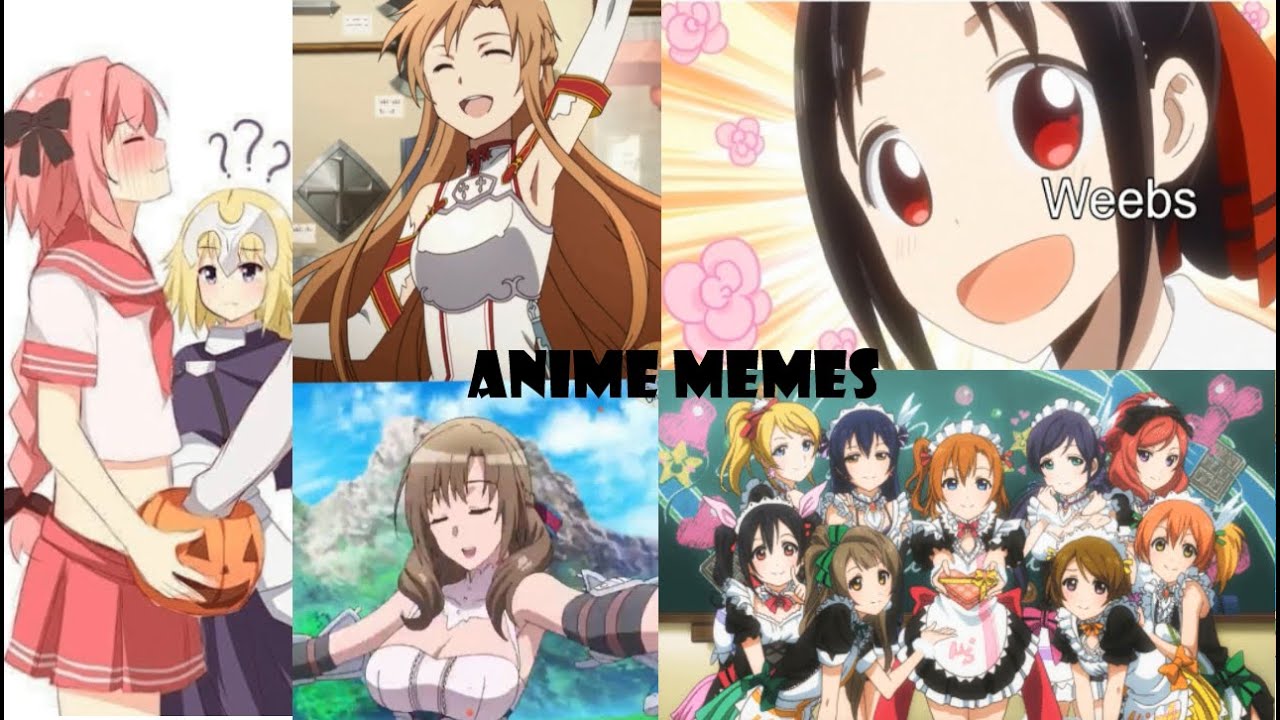 Anime memes-only real fans will understands