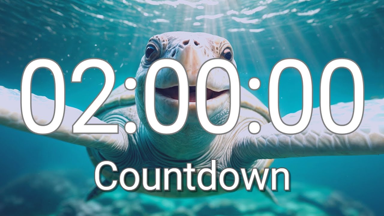 2 Hour Timer with Relaxing Music and Alarm