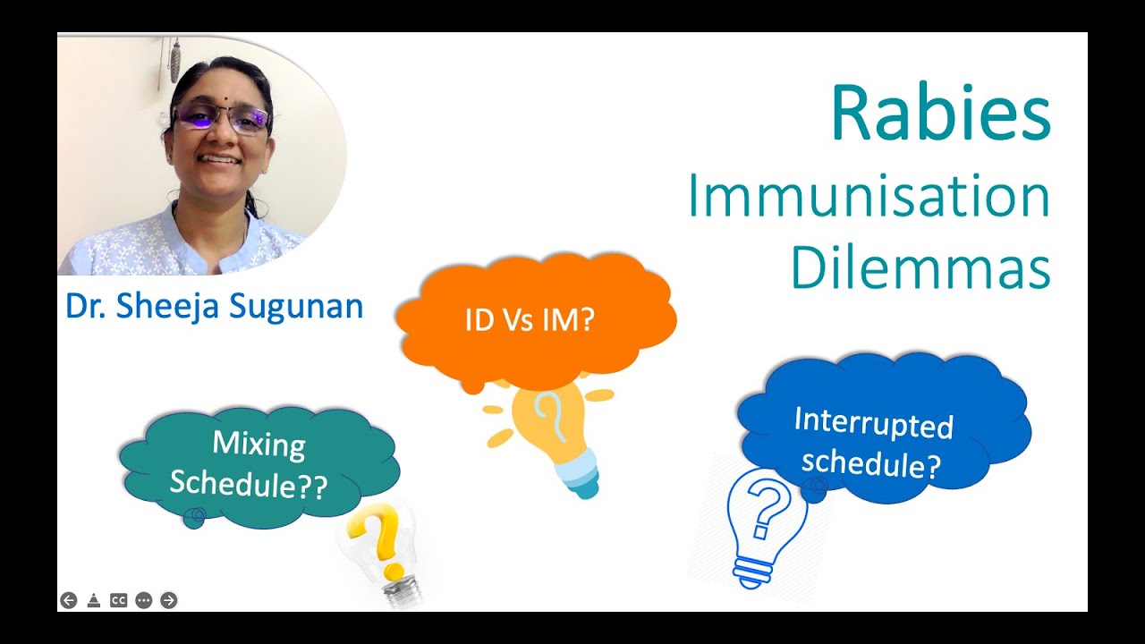 Rabies Immunisation FAQ by Dr Sheeja Sugunan.