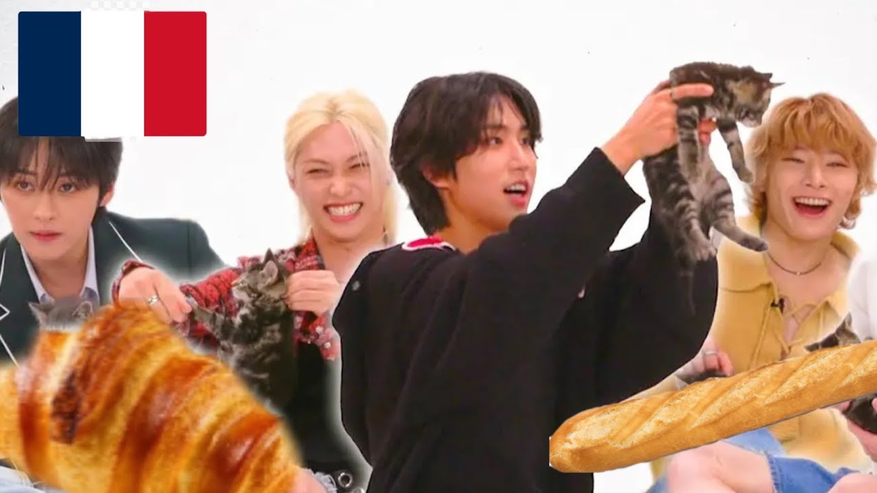 Si stray kids avec des chats était en français 🇨🇵 #straykids #doublage #drole #humour #skz #stay