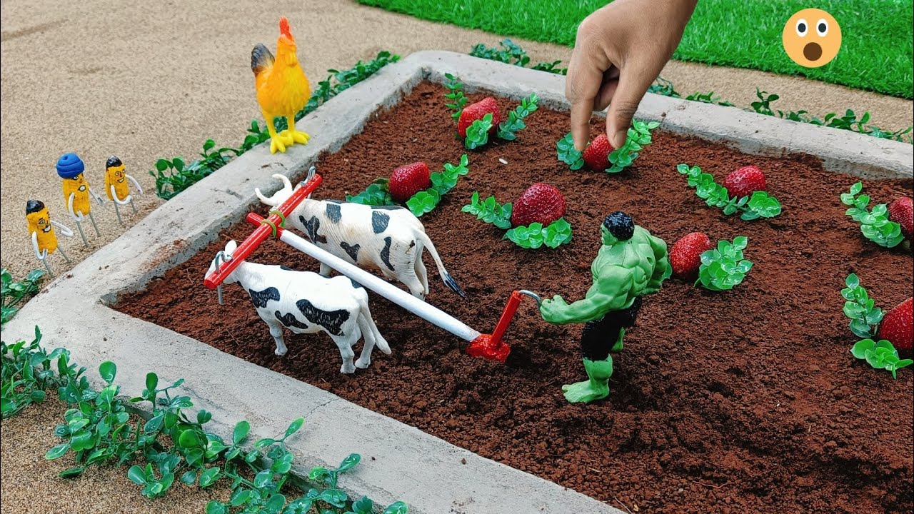 diy farming making strawberry! agriculture video  mini science project !