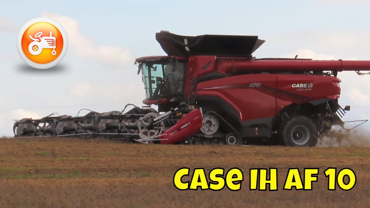 Harvest 2025 | Case IH AF10 combine harvesting peas