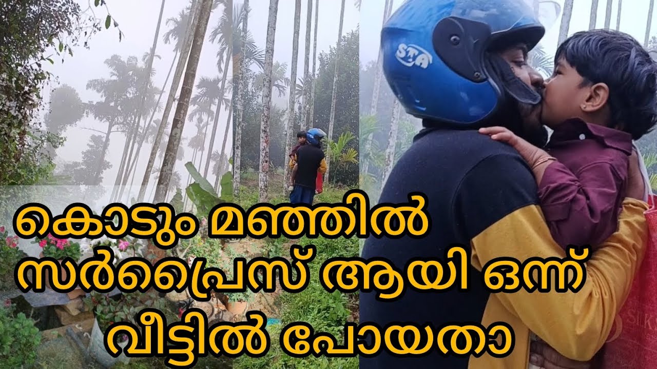 മഞ്ഞത്ത് സർപ്രൈസ് വിസിറ്റ് ആയി വീട്ടിലേക്ക് 🥰#travel #video #vibishaashok 