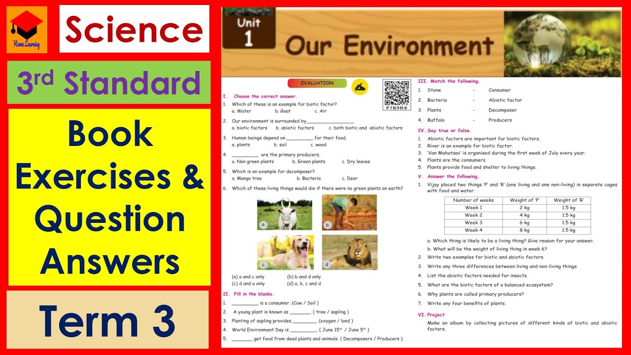 3rd Std- Science- Lesson 1- Our Environment- Term 3- Book back Exercises- Pages 69 & 70-