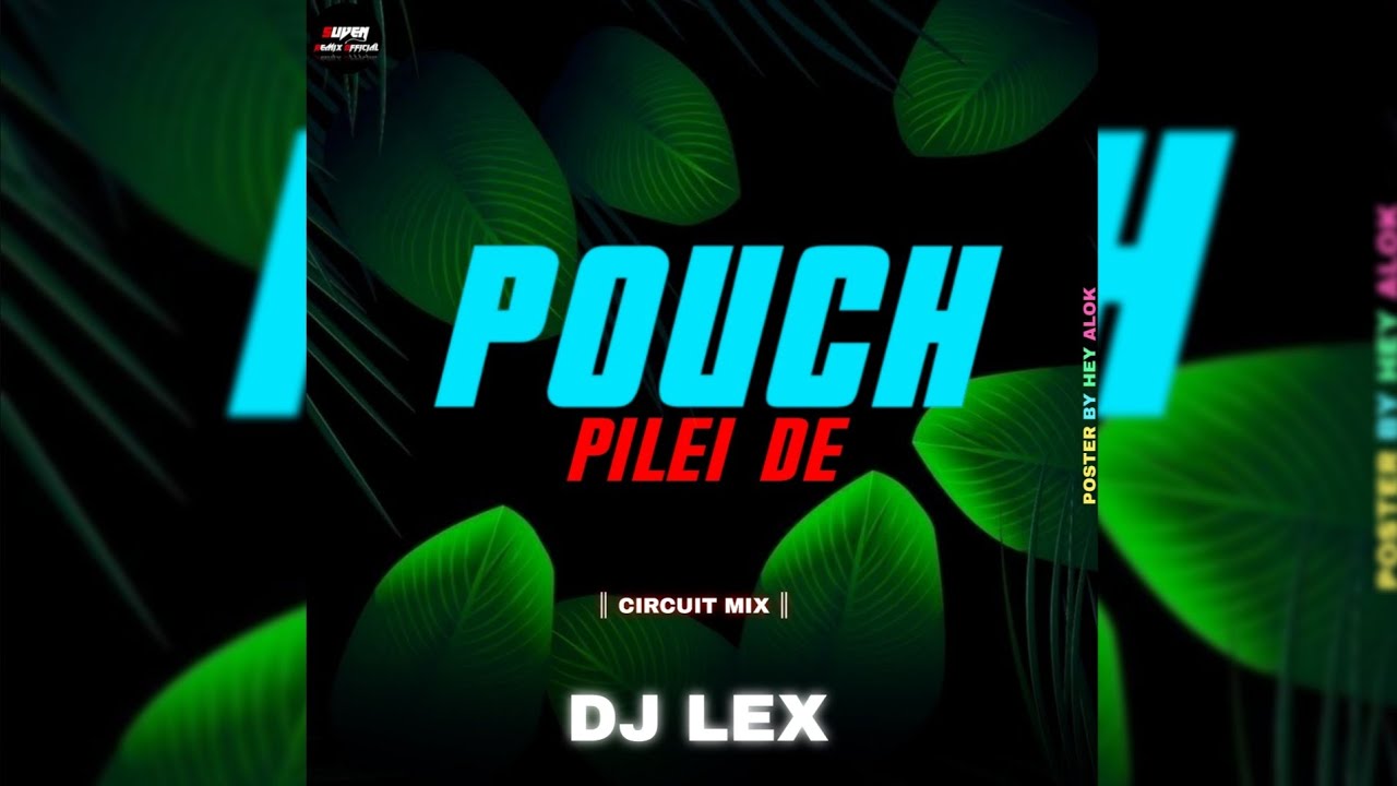 POUCH PILEI DE ║CIRCUIT MIX║ DJ LEX X SUVEN REMIX OFFICIAL