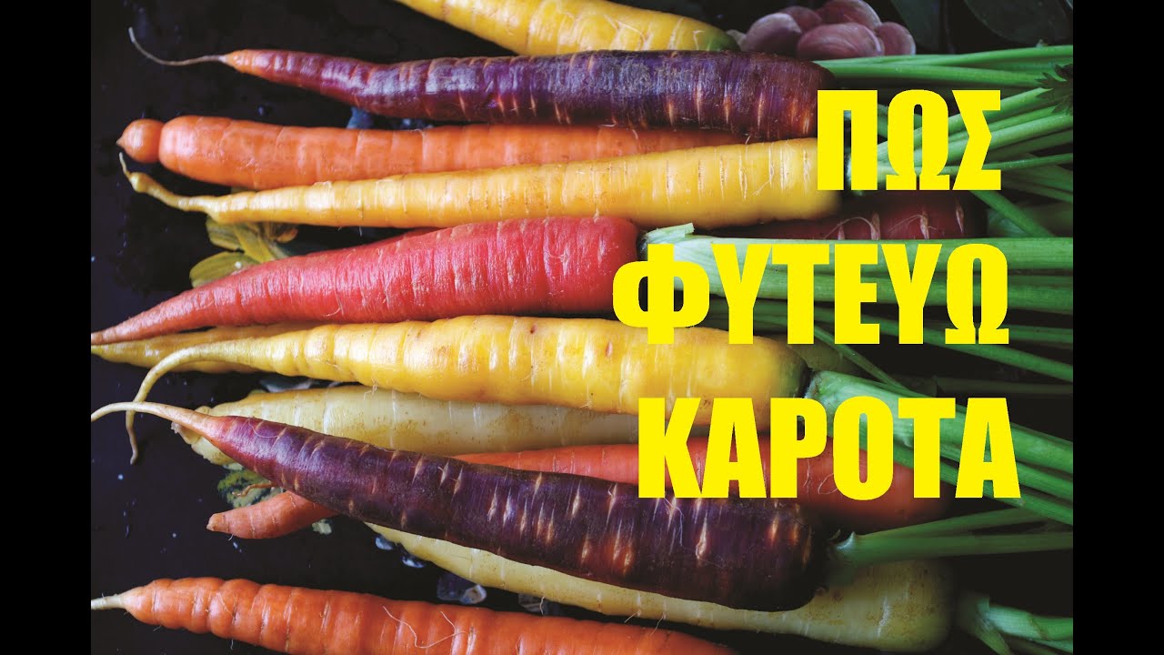 &Pi;ώ&sigmaf; &phi;&upsilon;&tau;&epsilon;ύ&omega; &kappa;&alpha;&rho;ό&tau;&alpha;. #shorts