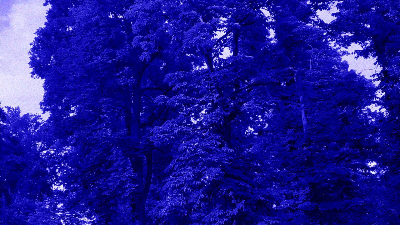 Beatrik -  Buried Among Skeletal Woods