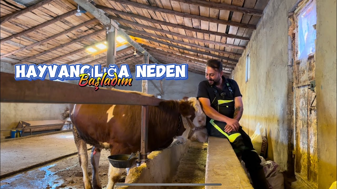 Hayvancılığa Neden Başladım