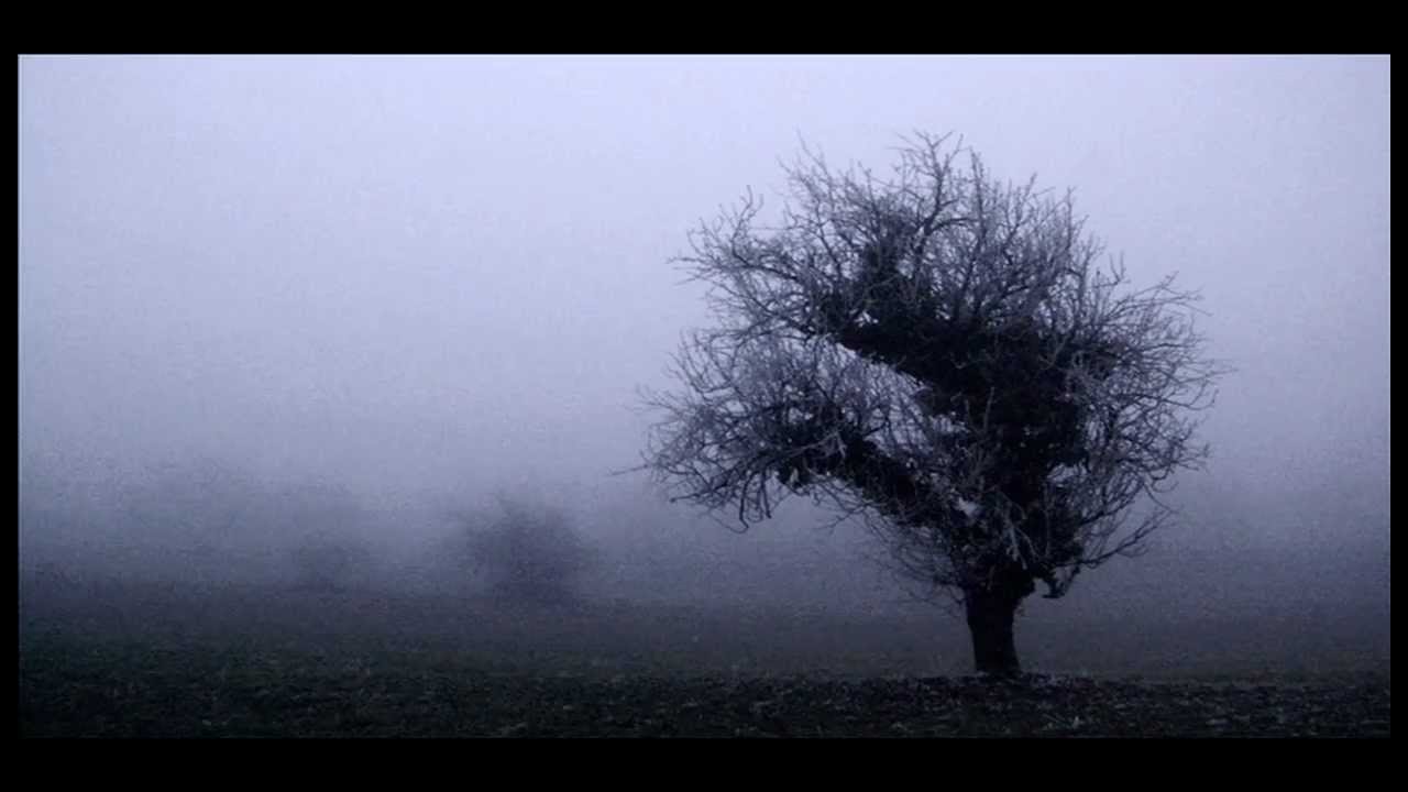 Come le foglie
