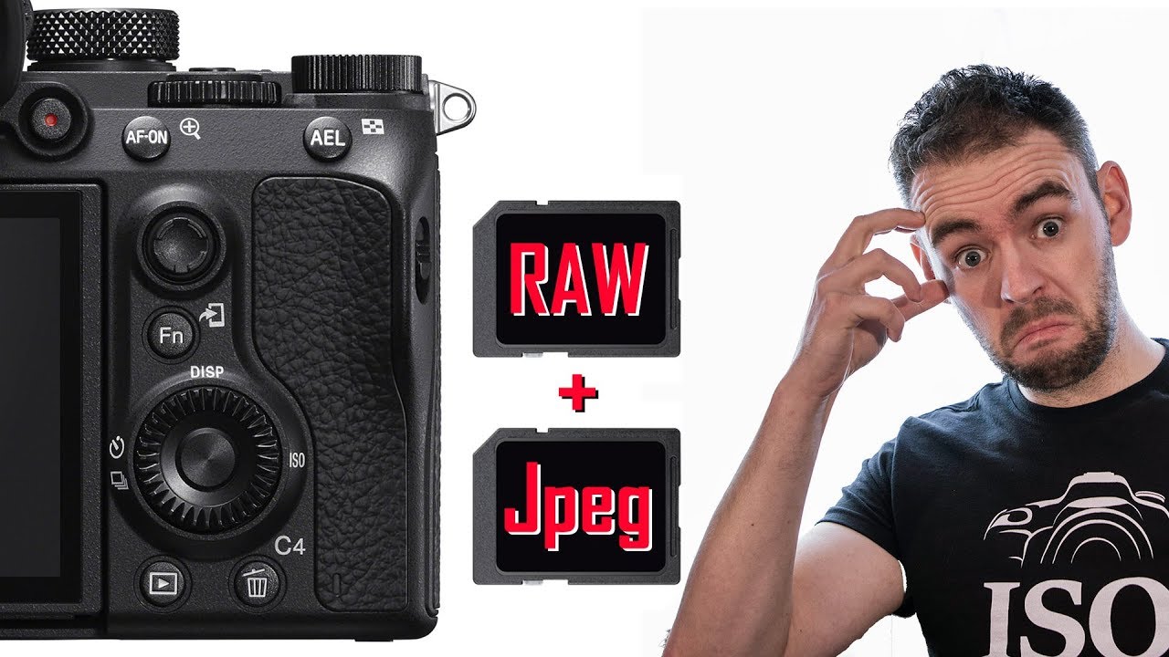 SONY - How to record RAW + Jpeg to different cards