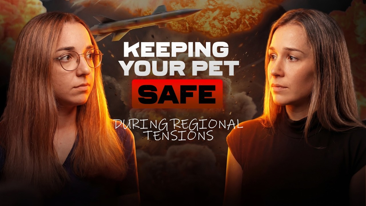 Keeping pets safe during regional tensions