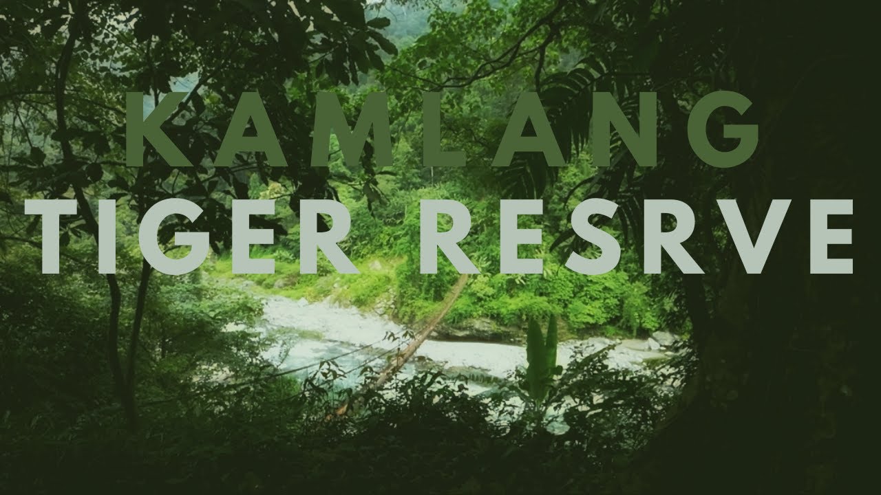 Kamlang Tiger Resreve | Trek to Glaw lake | Journey to The Far East | Arunachal Pradesh PT.2