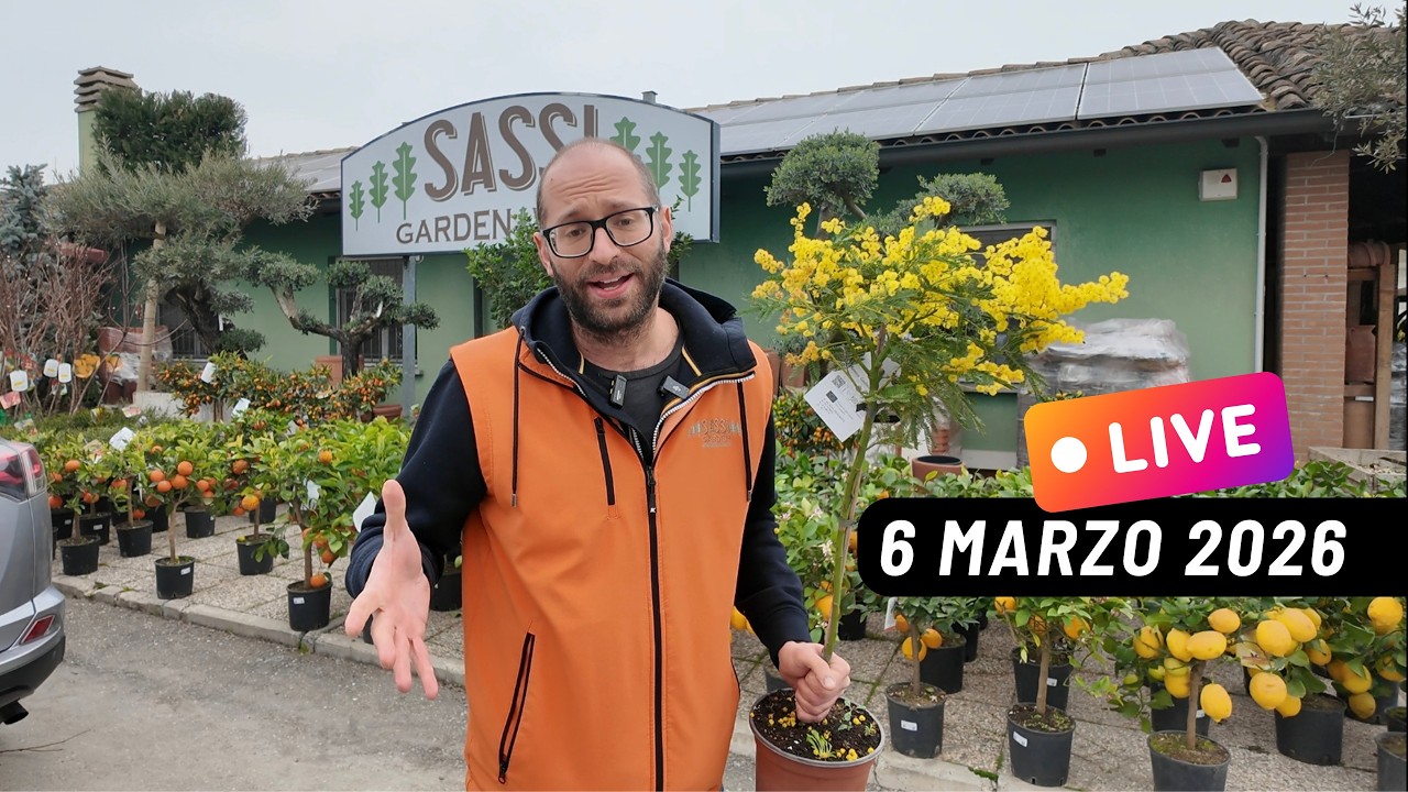 Live di venerdì 6 marzo 2026 - Speciale Festa della Donna e Tante altre Novità!