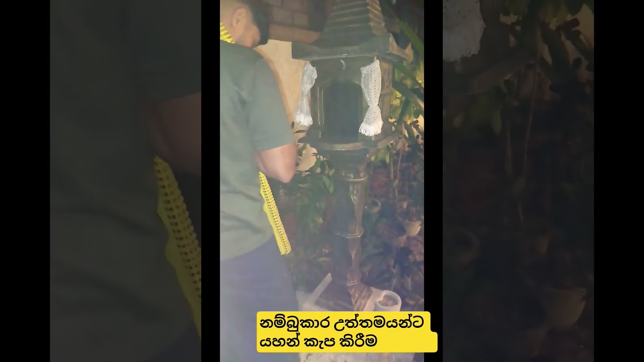 2026..03.07  ශ්‍රී මහා නාග පත්තිනි දේවාලය කලුතර 0760230750 whatsapp 0750471410