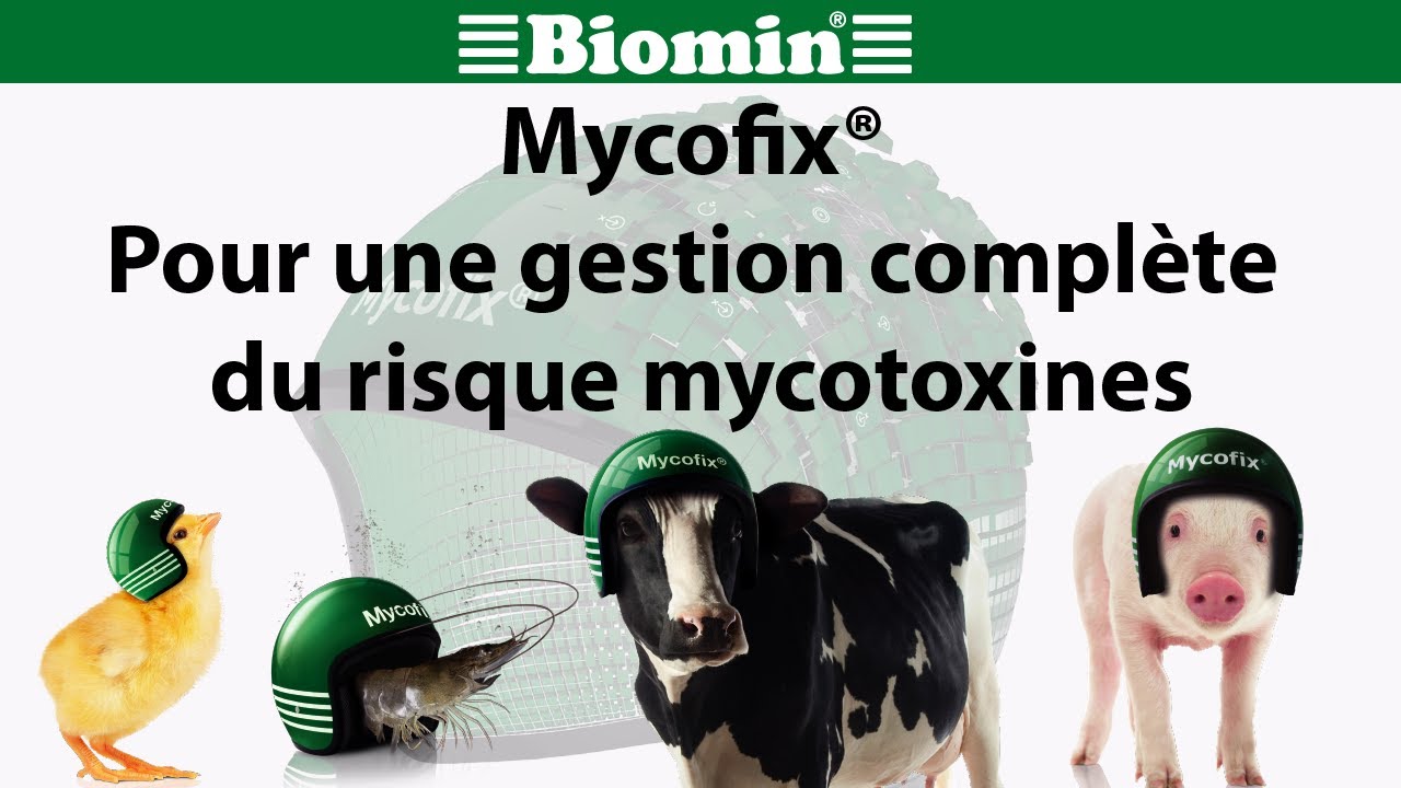 Mycofix® - Pour une gestion complète du risque mycotoxines