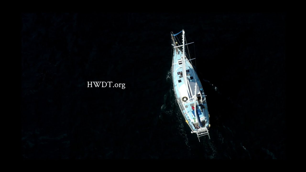 Hebridean Whale and Dolphin Trust - What we do