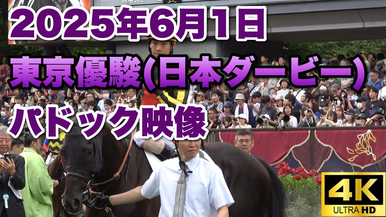 【4K動画】2025年東京優駿(日本ダービー)パドック【クロワデュノール】