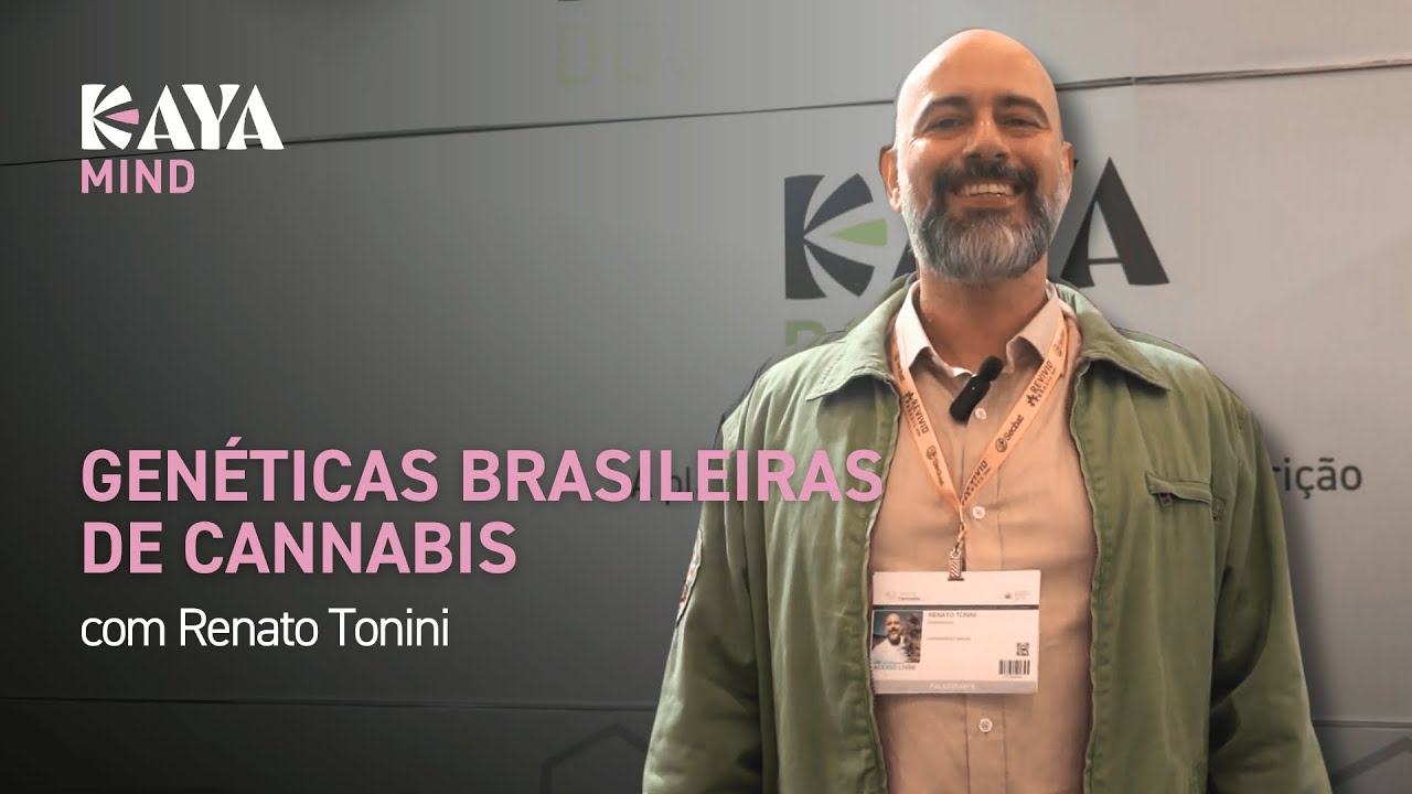 Gen&eacute;ticas brasileiras de cannabis: potencial e futuro