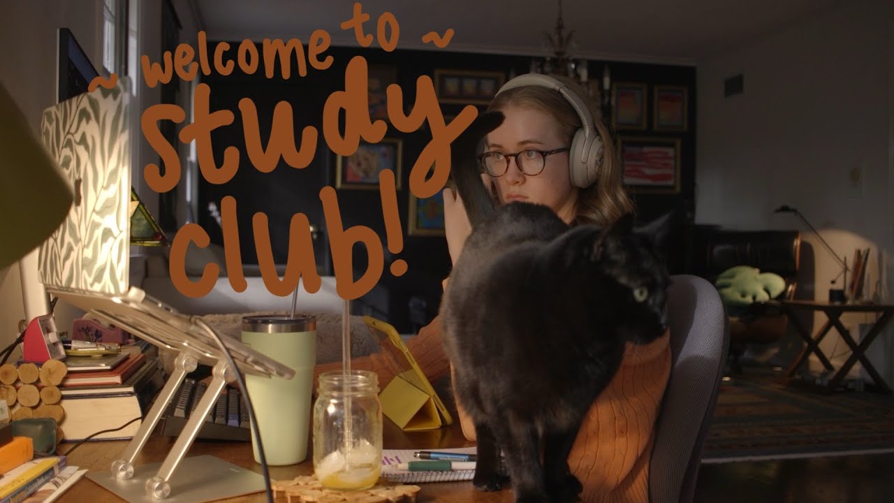 late night study with me&cats (50/10/50, no music - just typing)