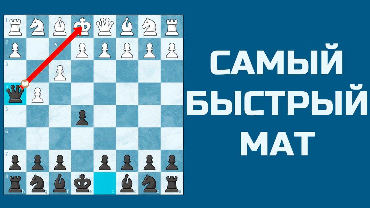 Самый быстрый мат в шахматах. Мат ферзем