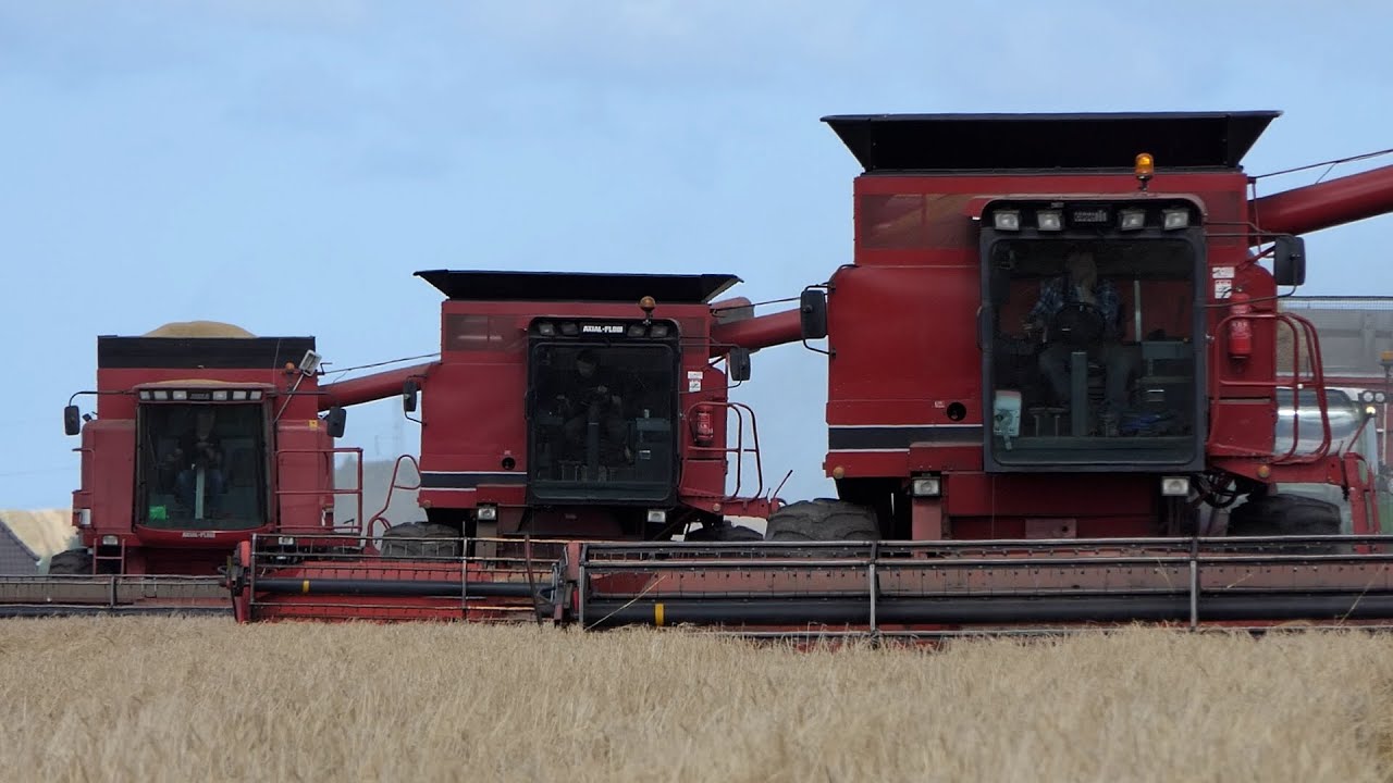 Case IH Axial-Flow 1680, 1680 & 2188 in the field harvesting Barley | Harvest Season 2021